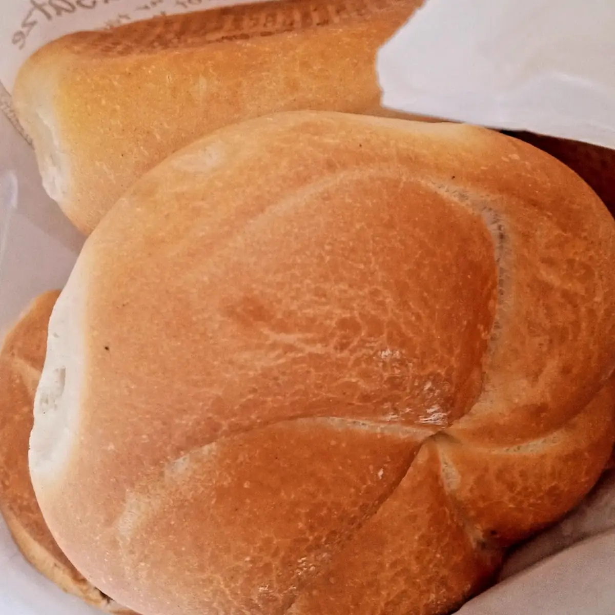 Semmel