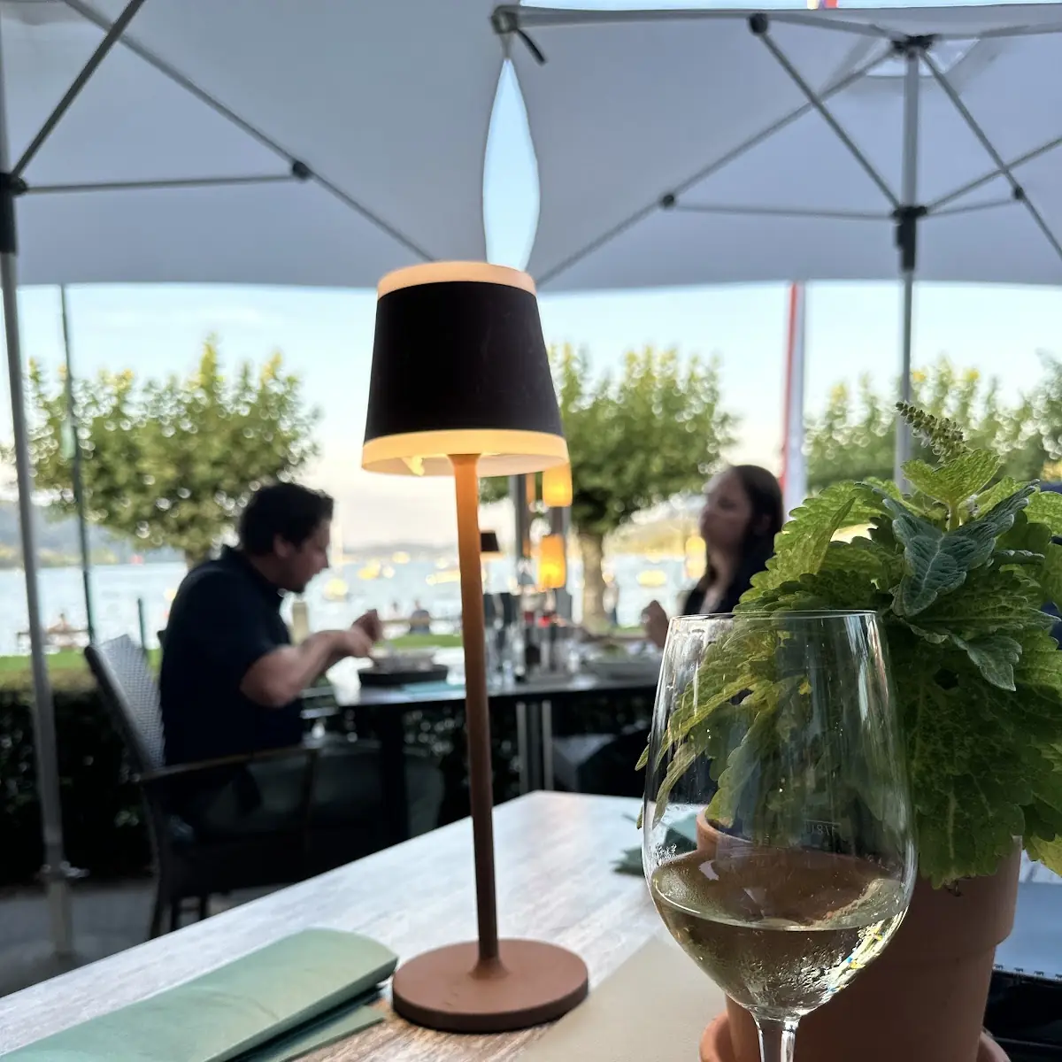 Highlight 20