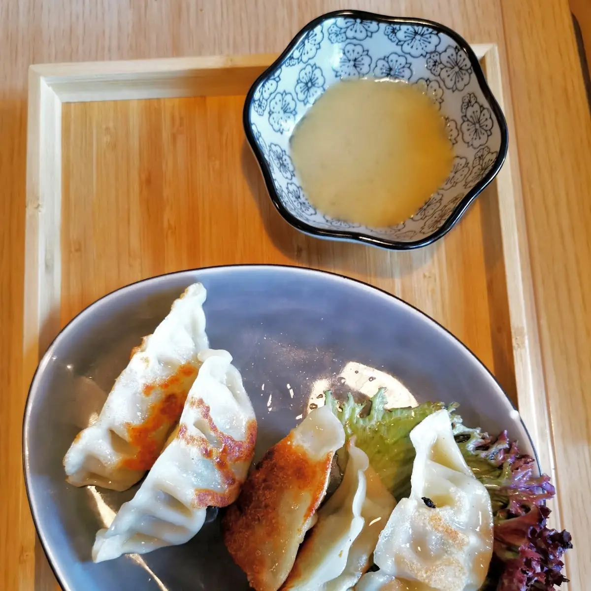 Yaki Gyoza