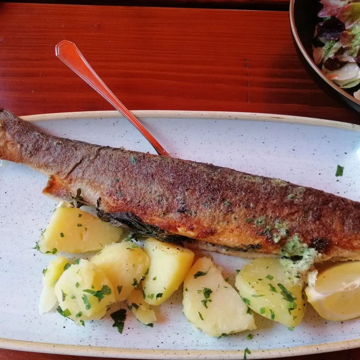 Gebratener Saibling