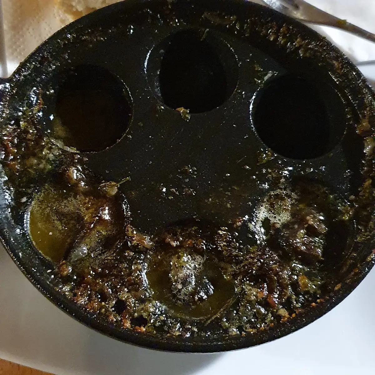 Weinbergschnecken