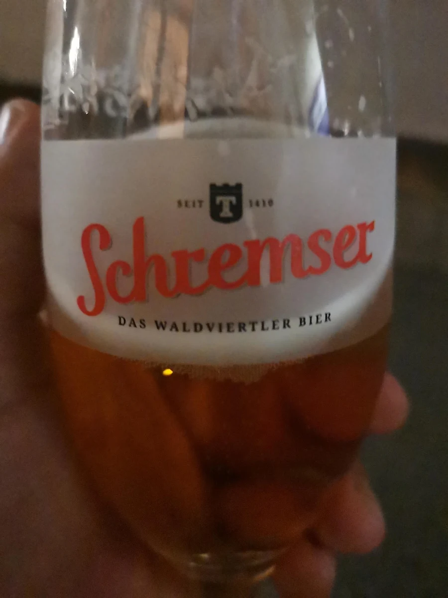 Bier