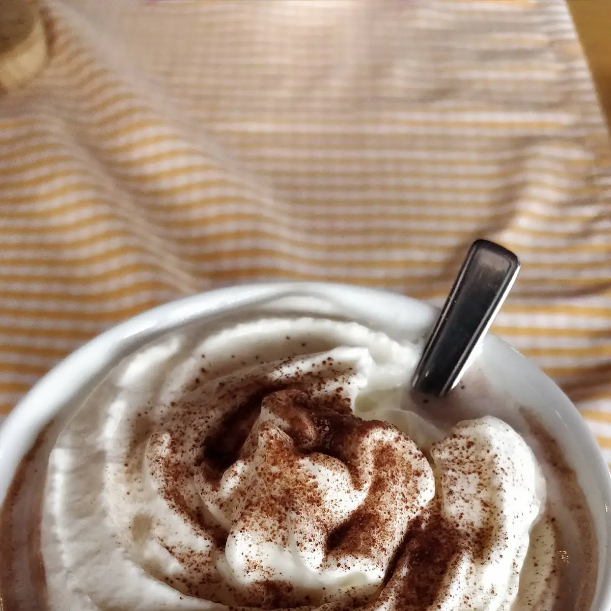 Hot Chocolate with Whipped Cream