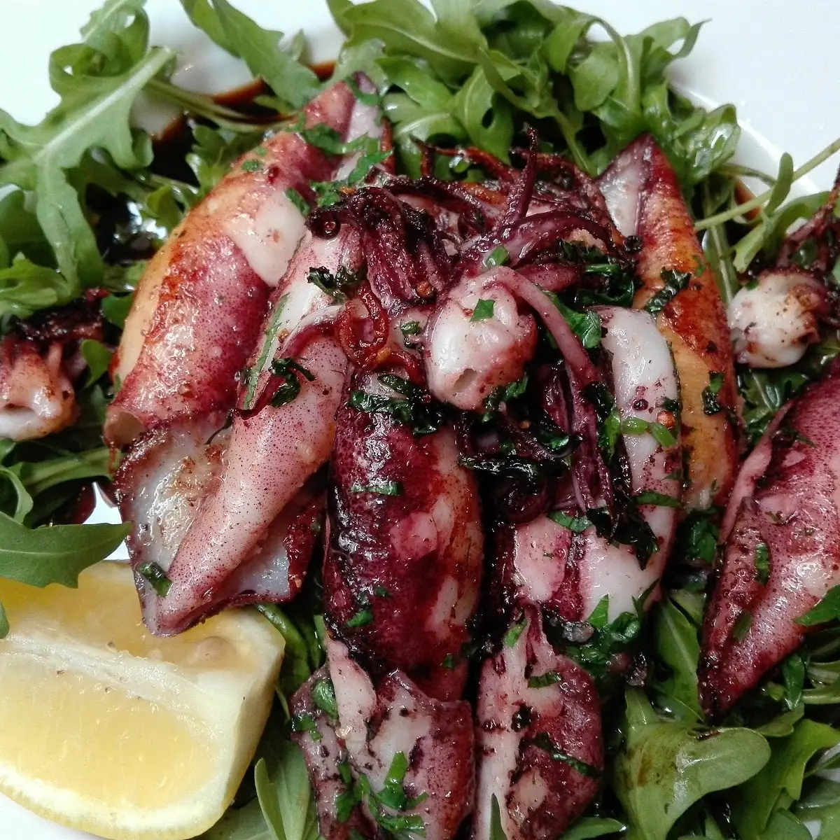 Calamars