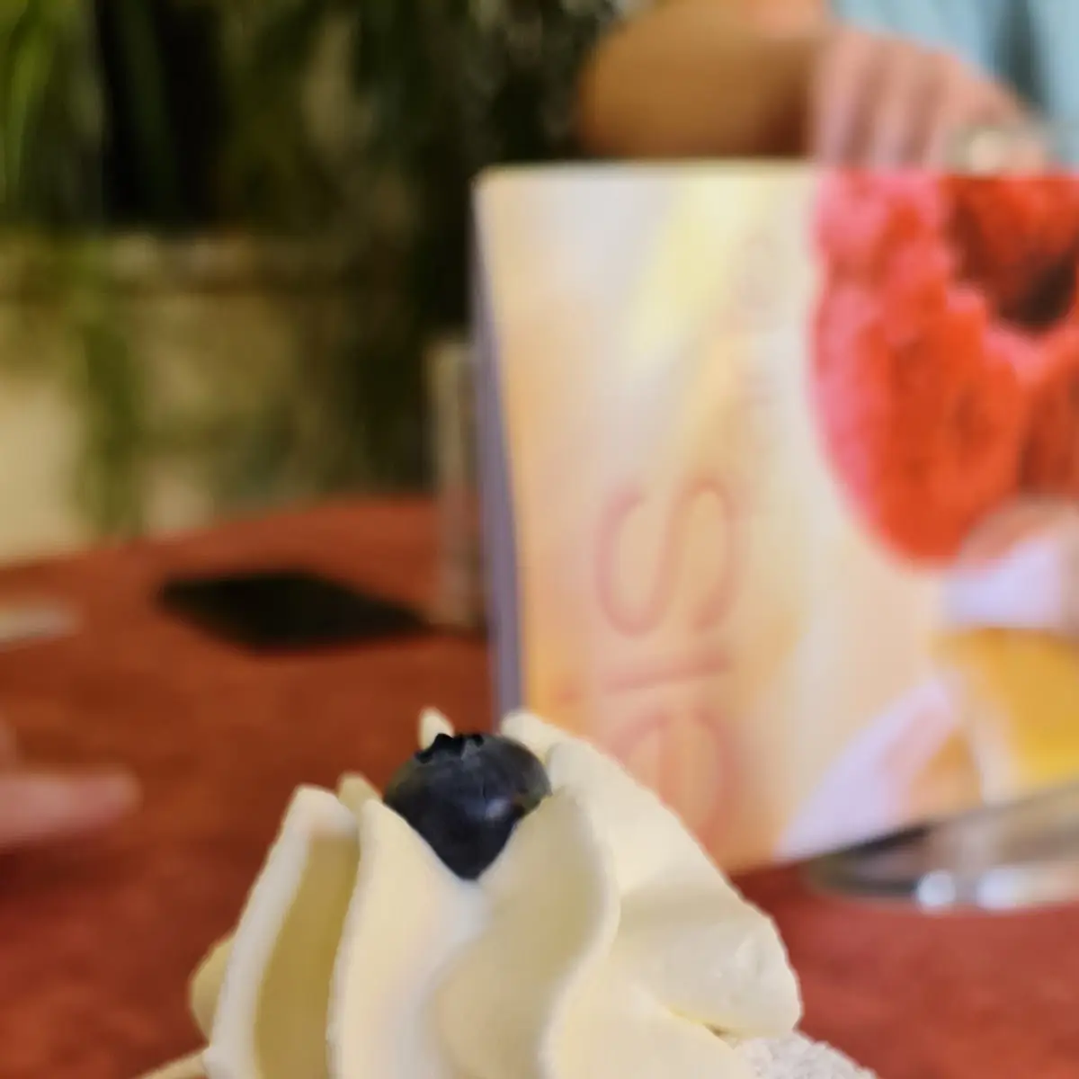 Joghurt Roulade