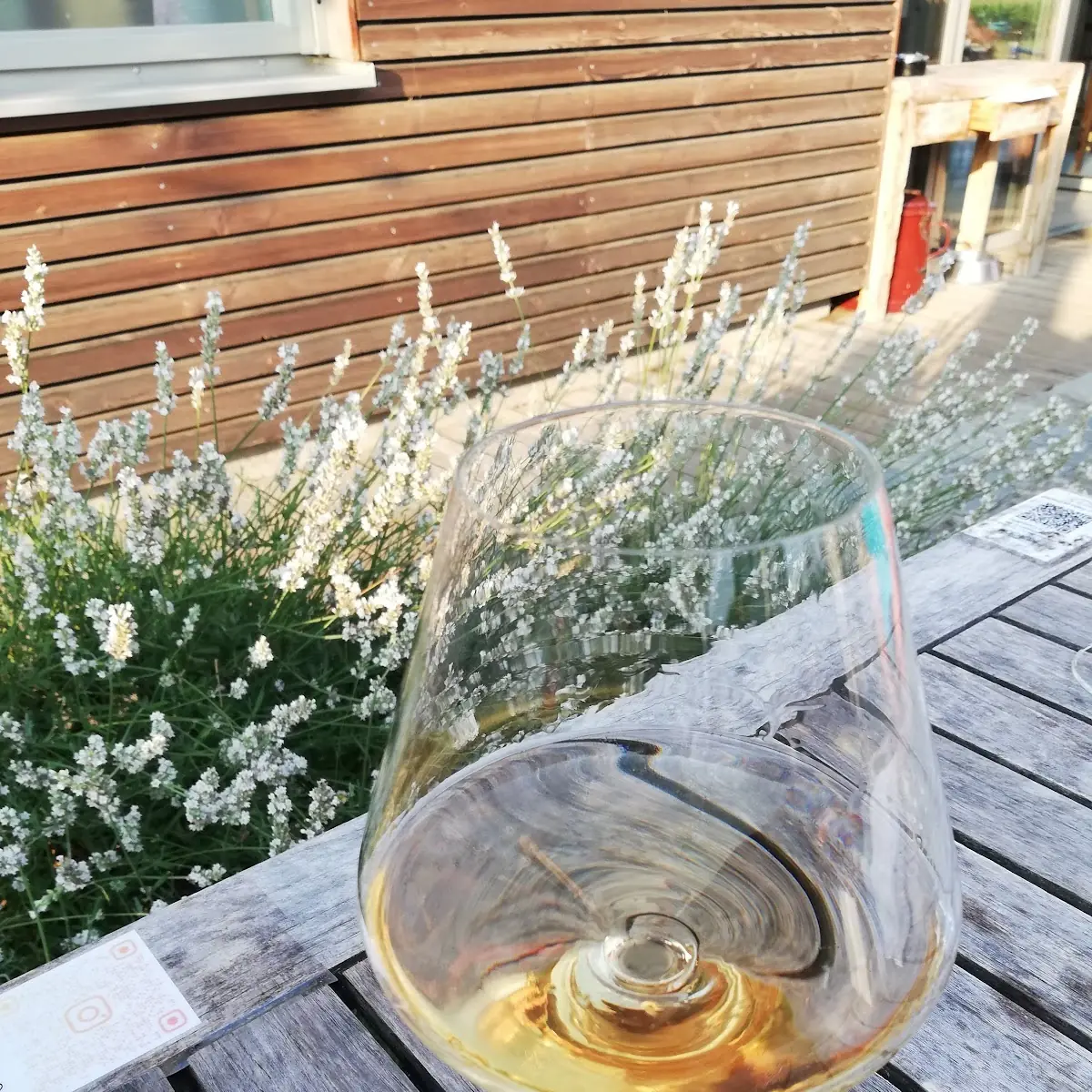 Wellentänzer Und Weißer Spritzer