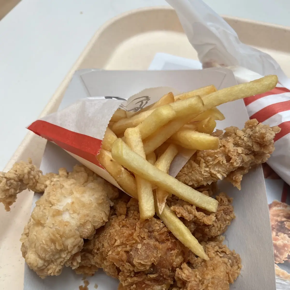Hot Wings and Chicken Strip and Fries
