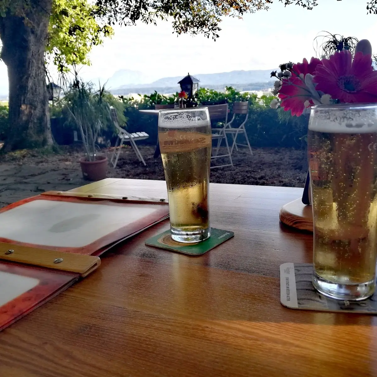 Bier