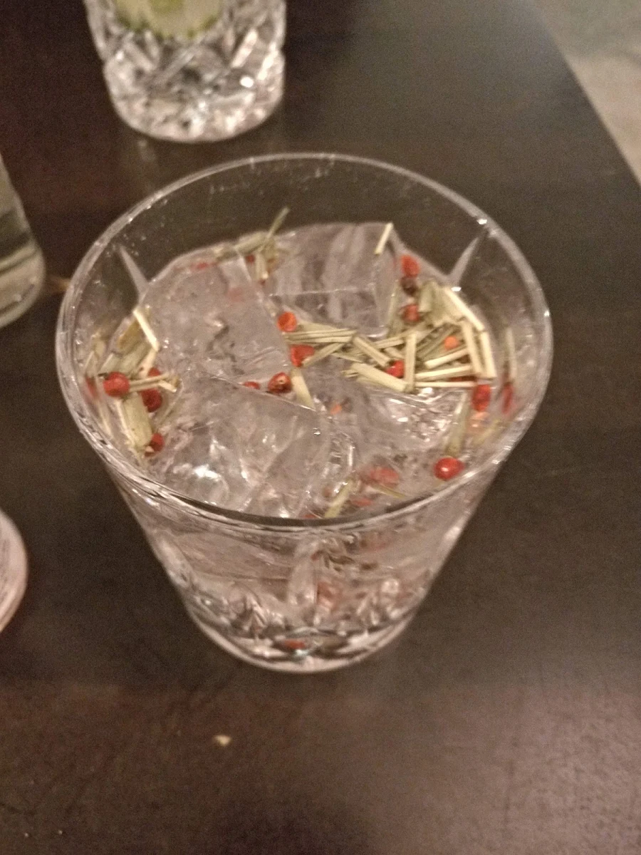 Gin Tonic