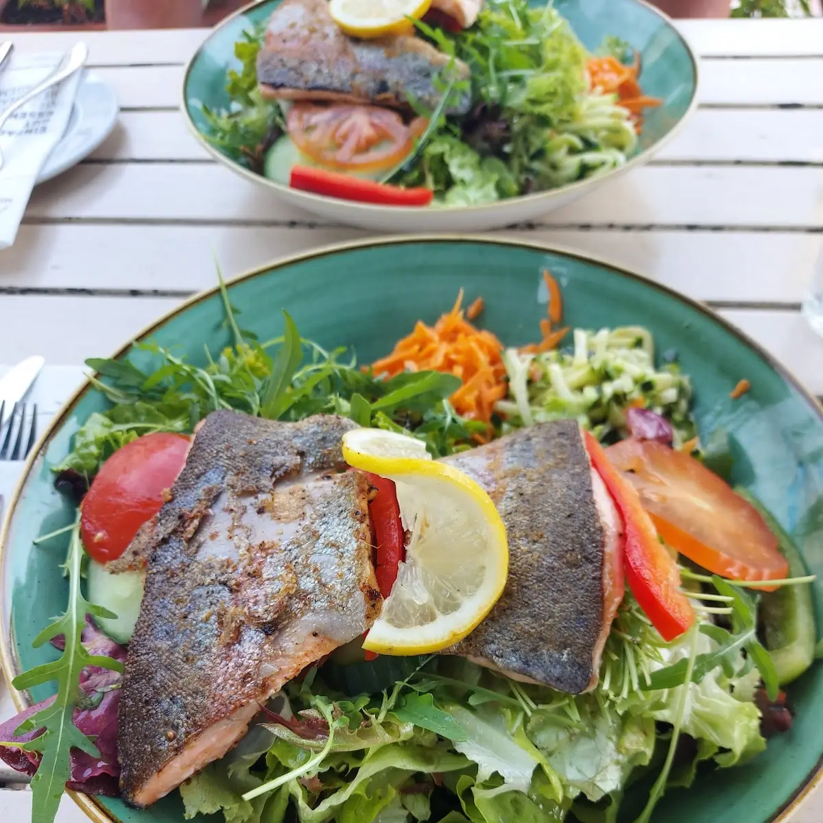 Salat Mit Gegrillter Lachsforelle