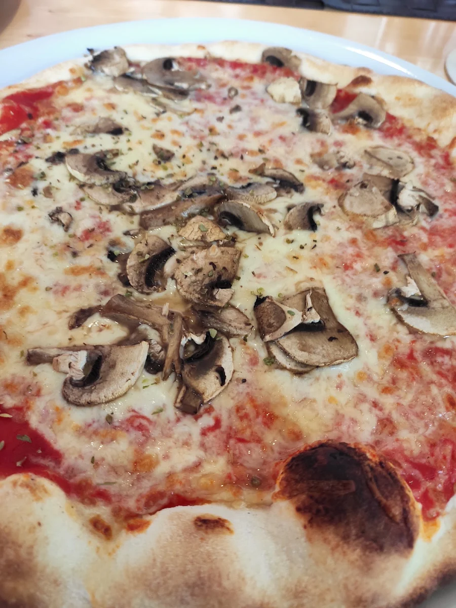 Pizza Funghi