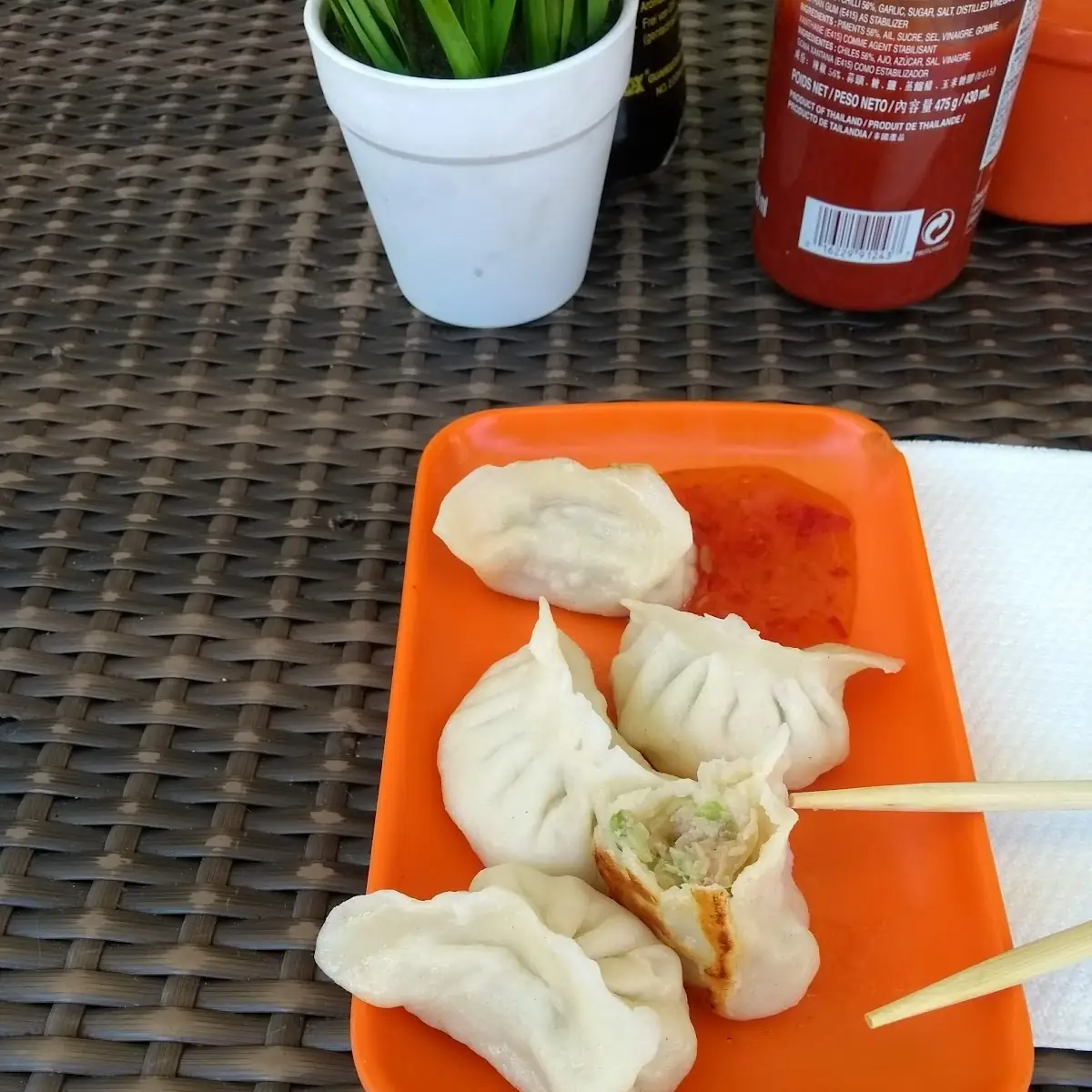 Pork Gyoza