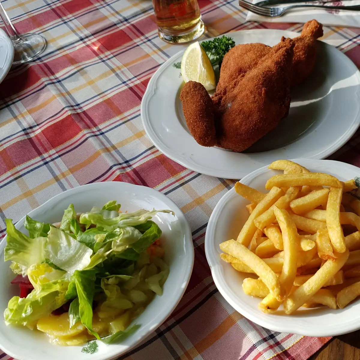 Händl Mit Pommes Frites Und Salat