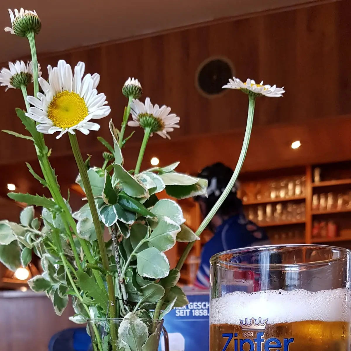 Pivo