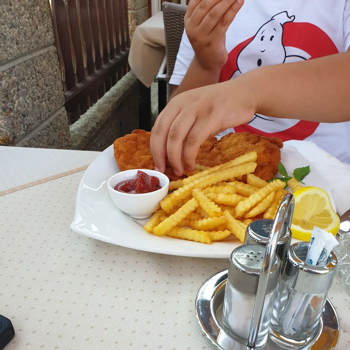 Schnitzel Mit Pommes