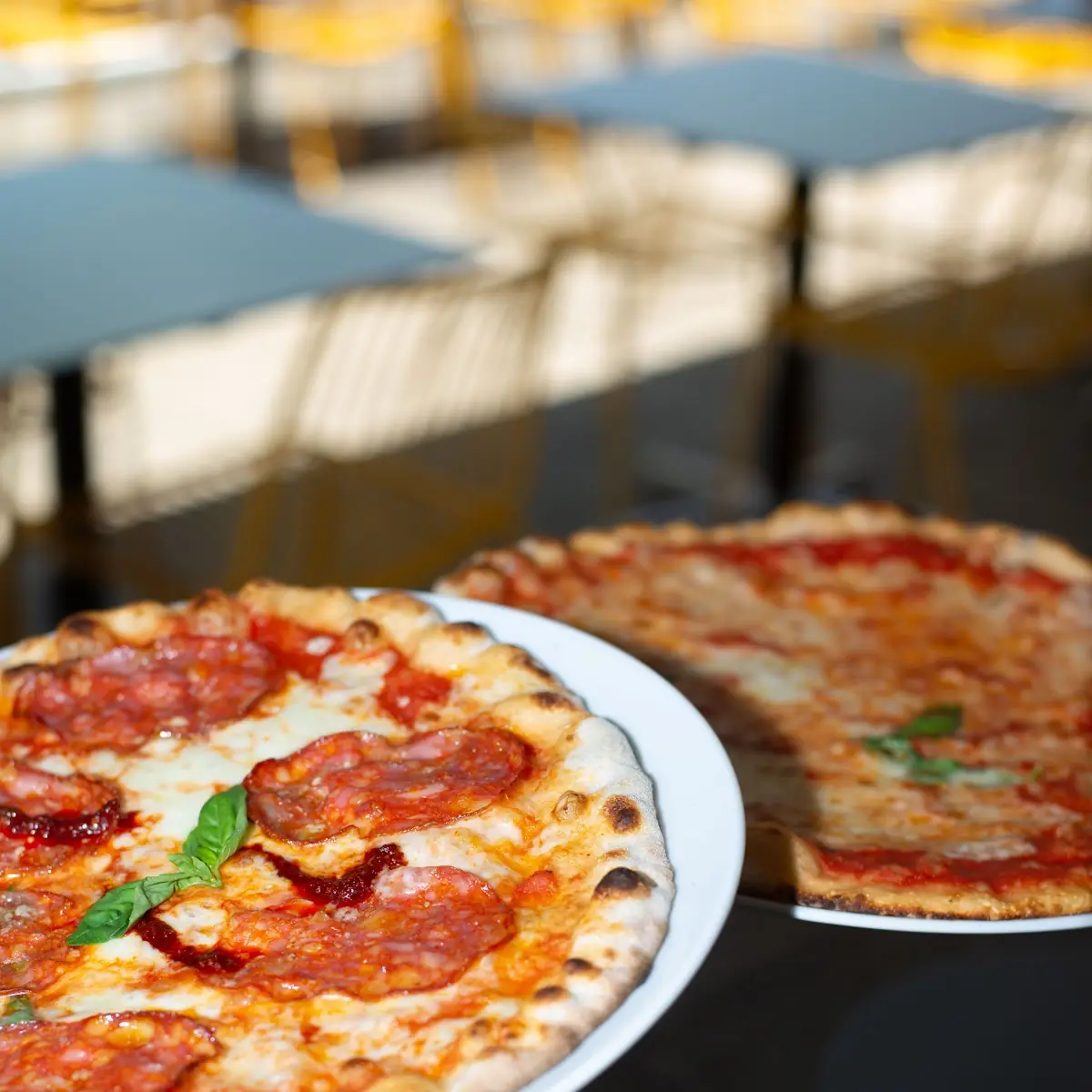 Highlight 3
