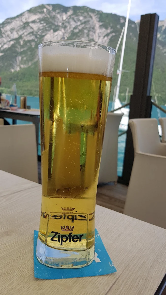 Bier