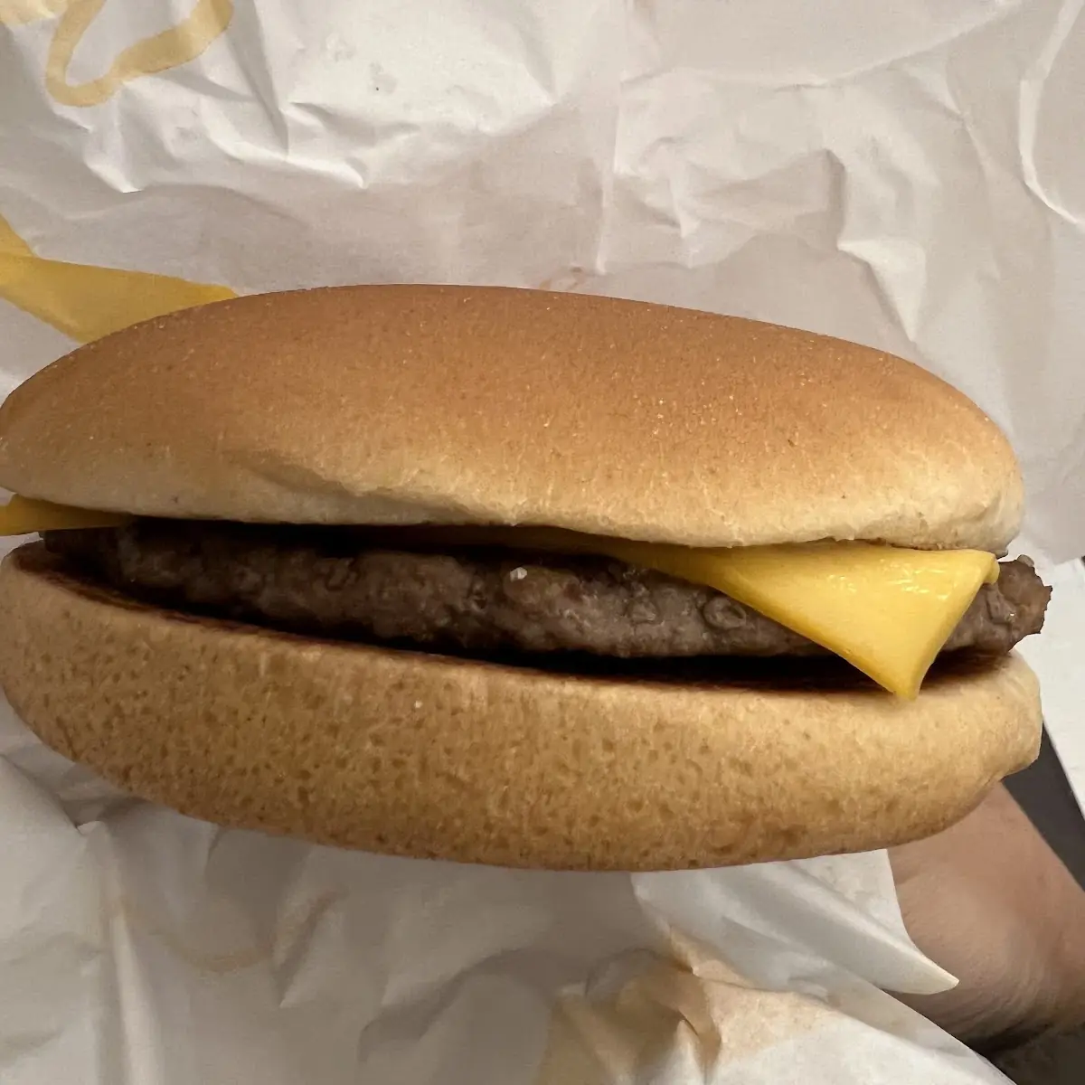 Double Cheeseburger