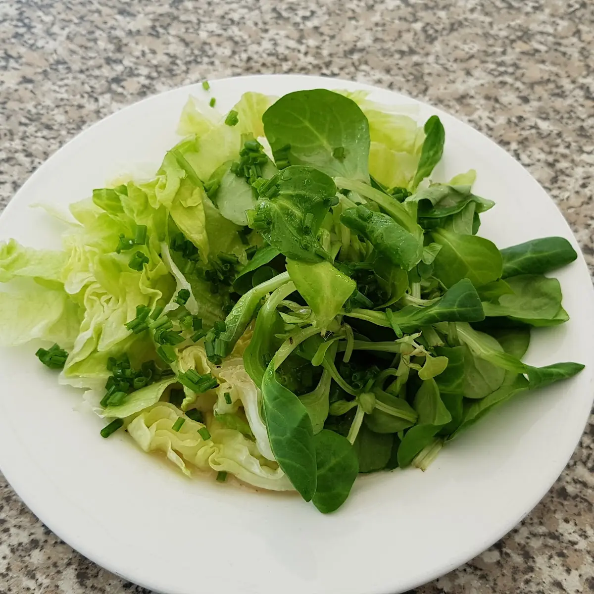 Salat Buffet