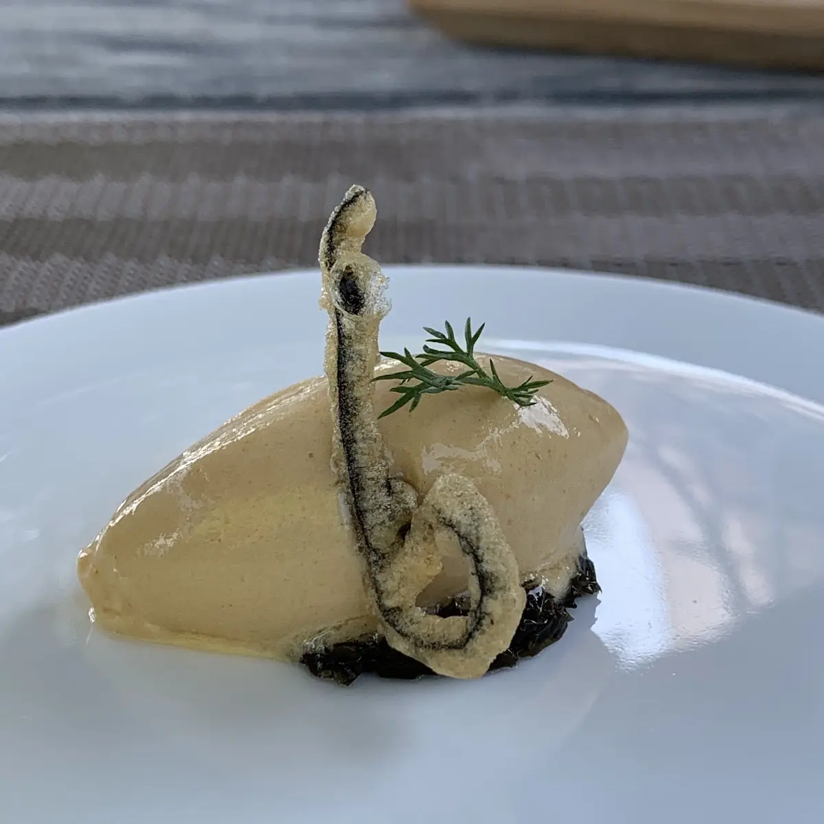 Bio Gänseleber