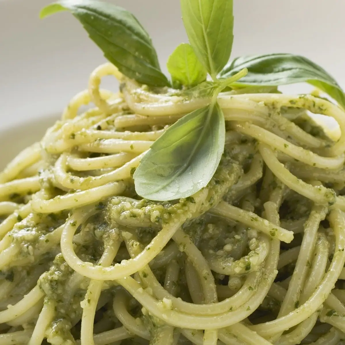 Pasta Alla Genovese Vegetarisch