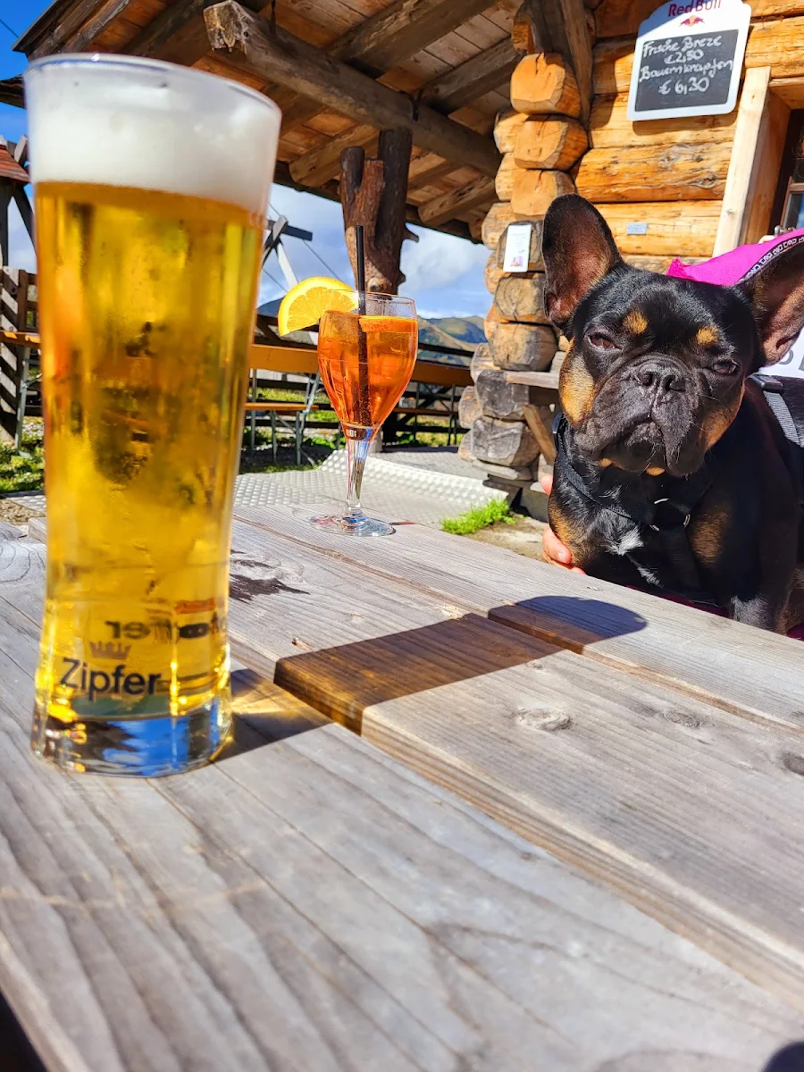 Bier