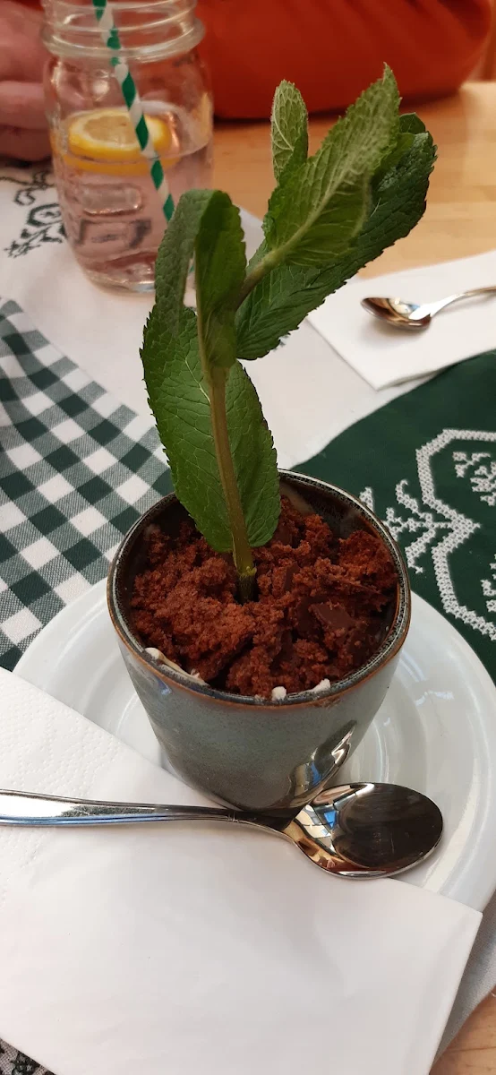 Schwarzwälder Kirsch Im Blumentopf