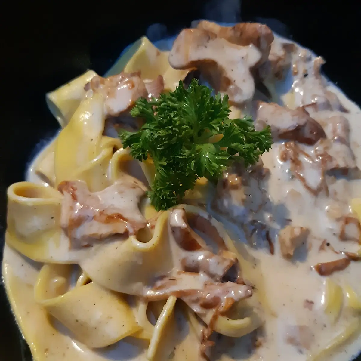 Tagliatele Con Fonghi Porcini A La Universitate