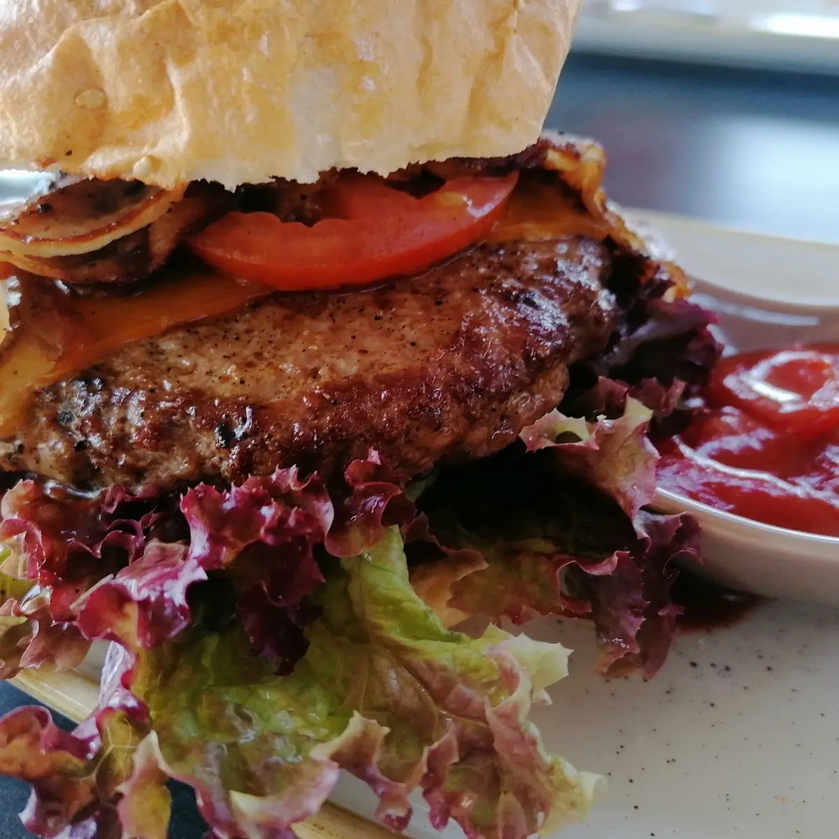 Seehausburger