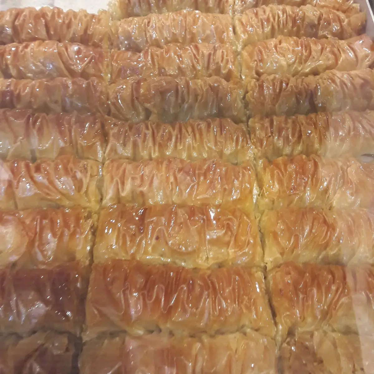 Sarı Burma