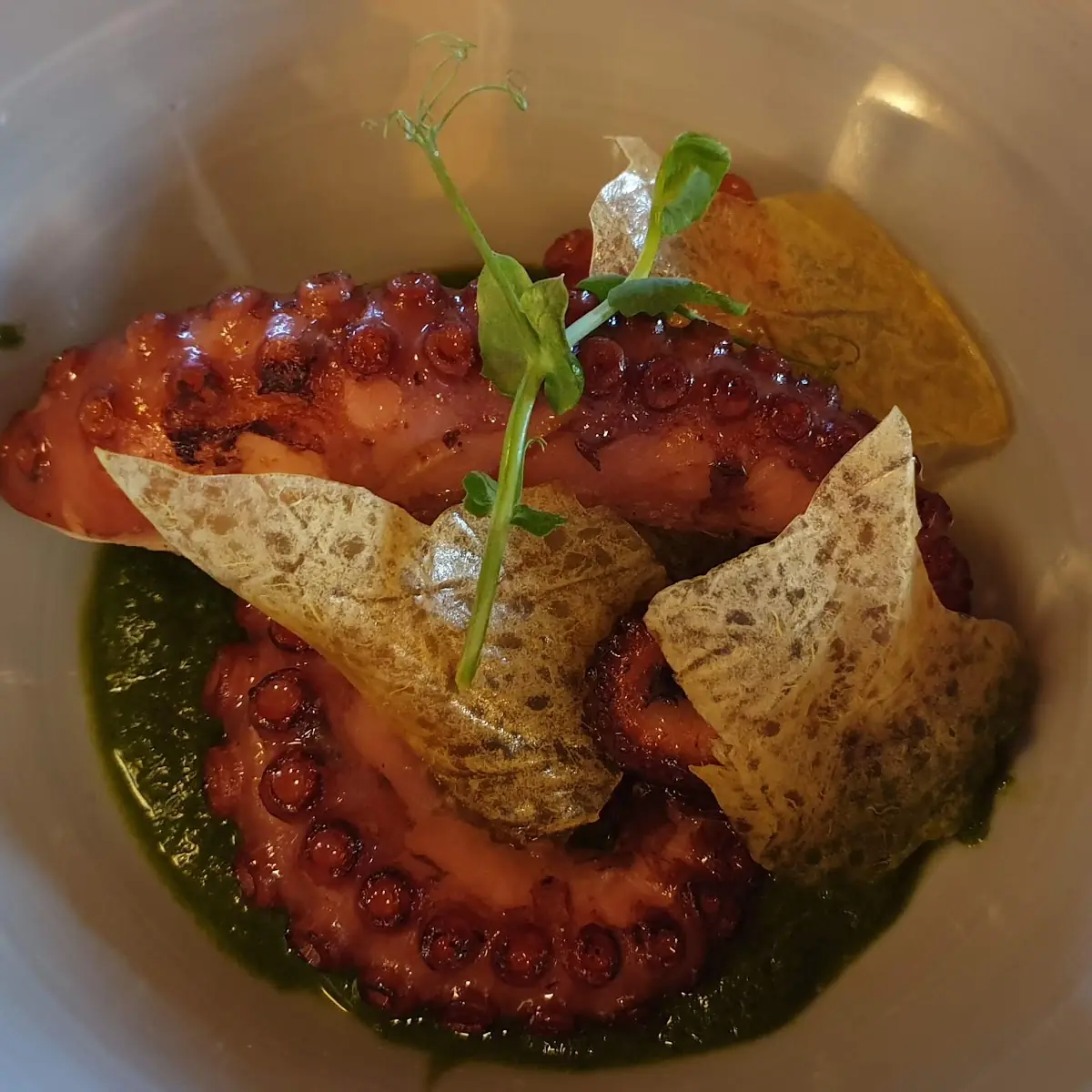 Gegrillter Octopus