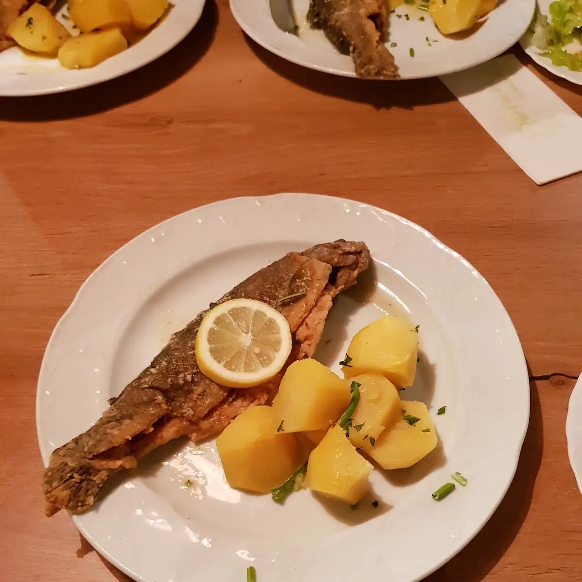 Grilled Trout with Zipfer Beer