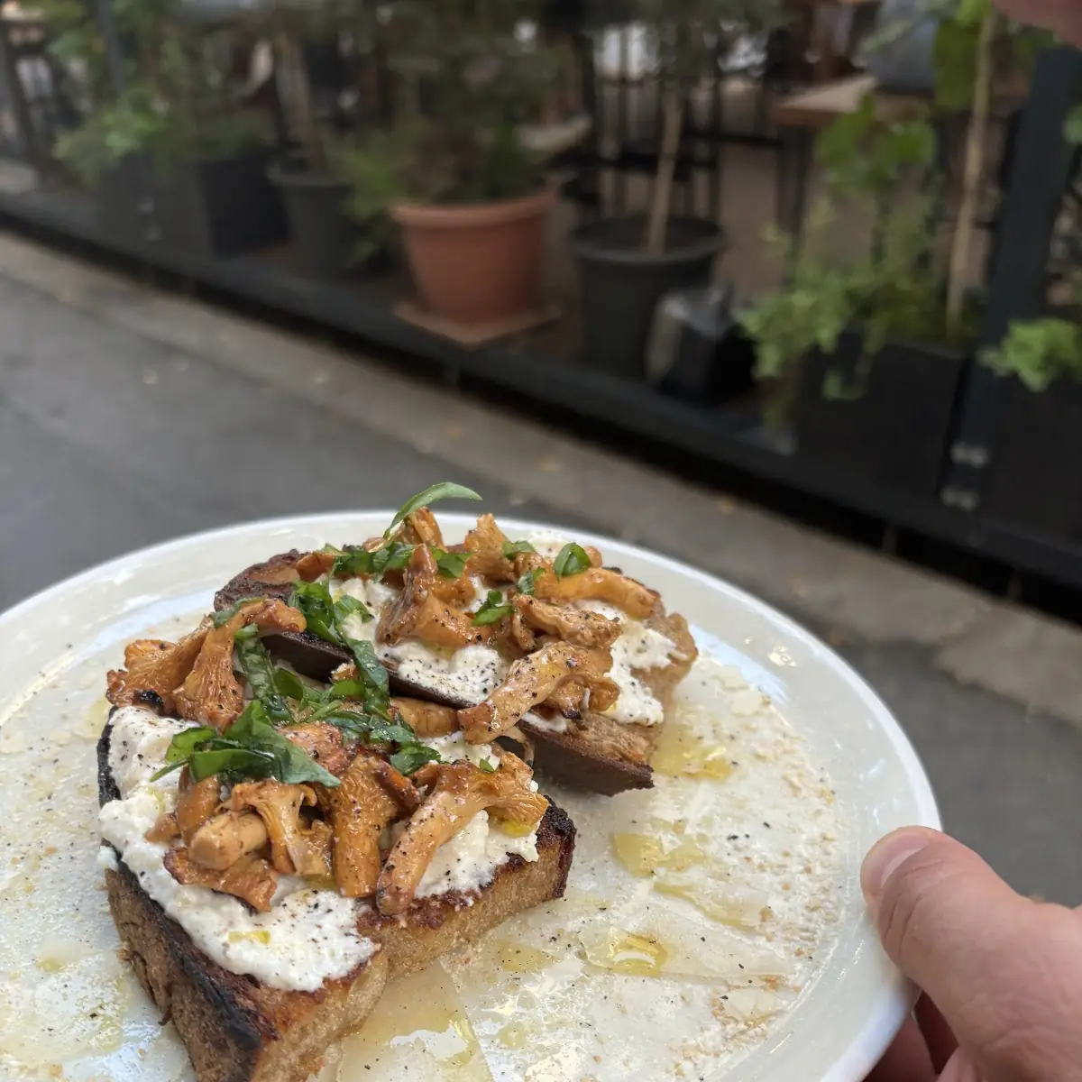 Bruschette Eierschwammerl & Ricotta