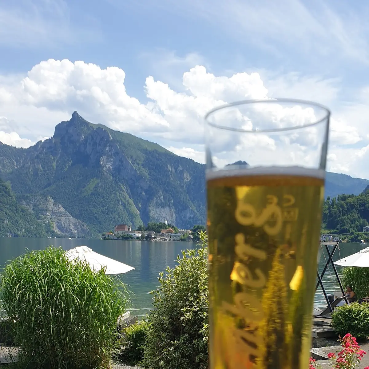 Bier