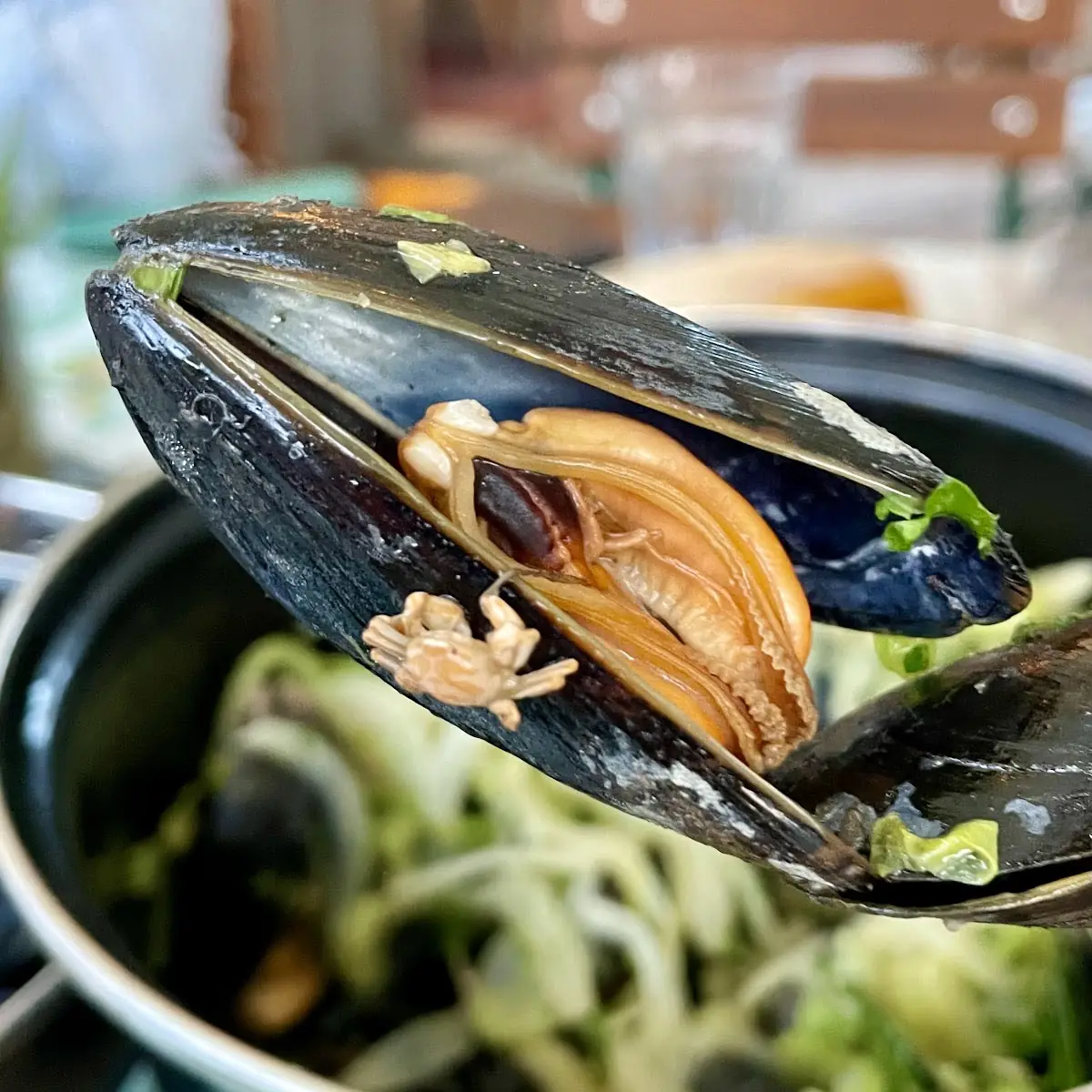 Moules Frites
