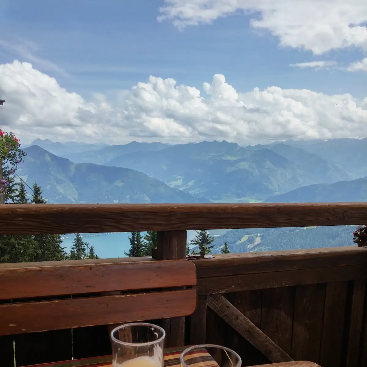 Bier