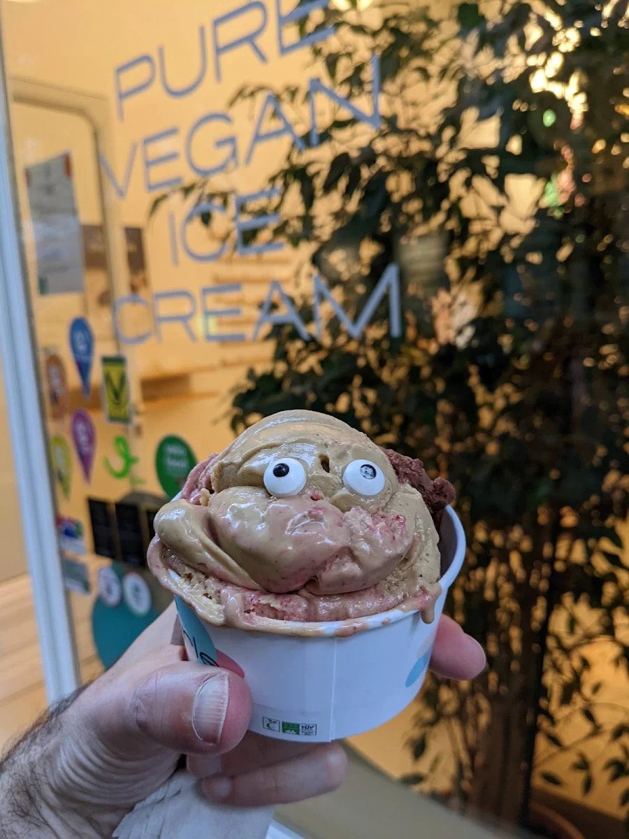 Vegan Ice Cream