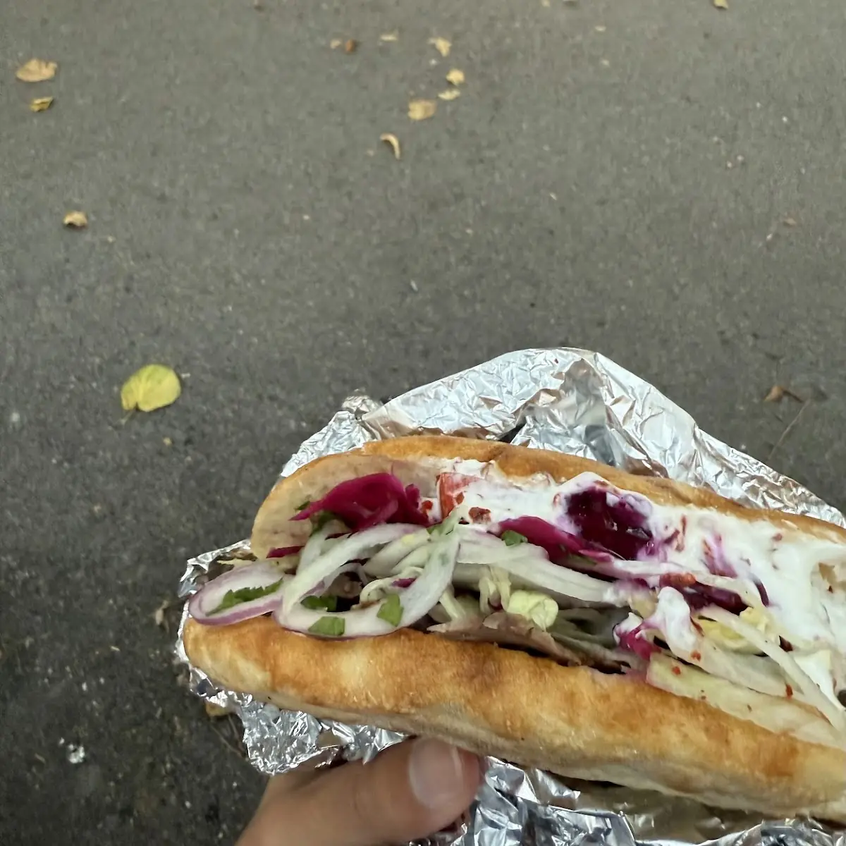 Döner Sandwich