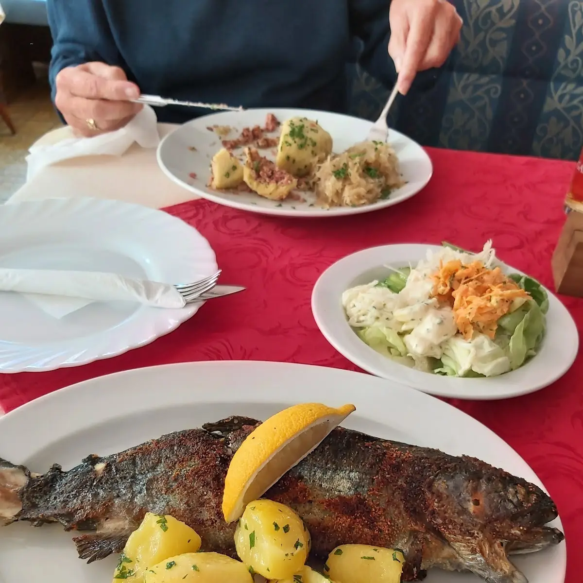 Fish Zum Grilled Mit Gemischter Salat