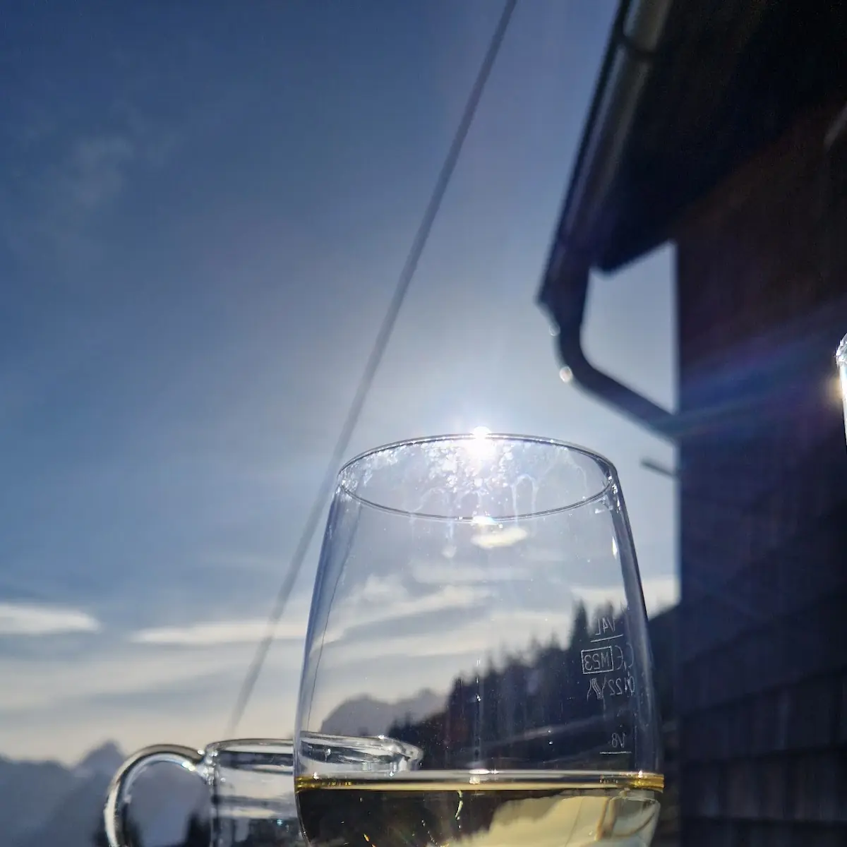 Weißer Hauswein