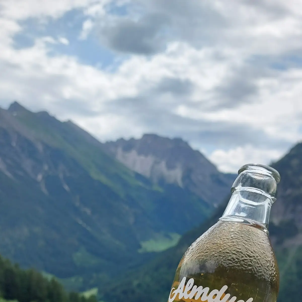 Almdudler