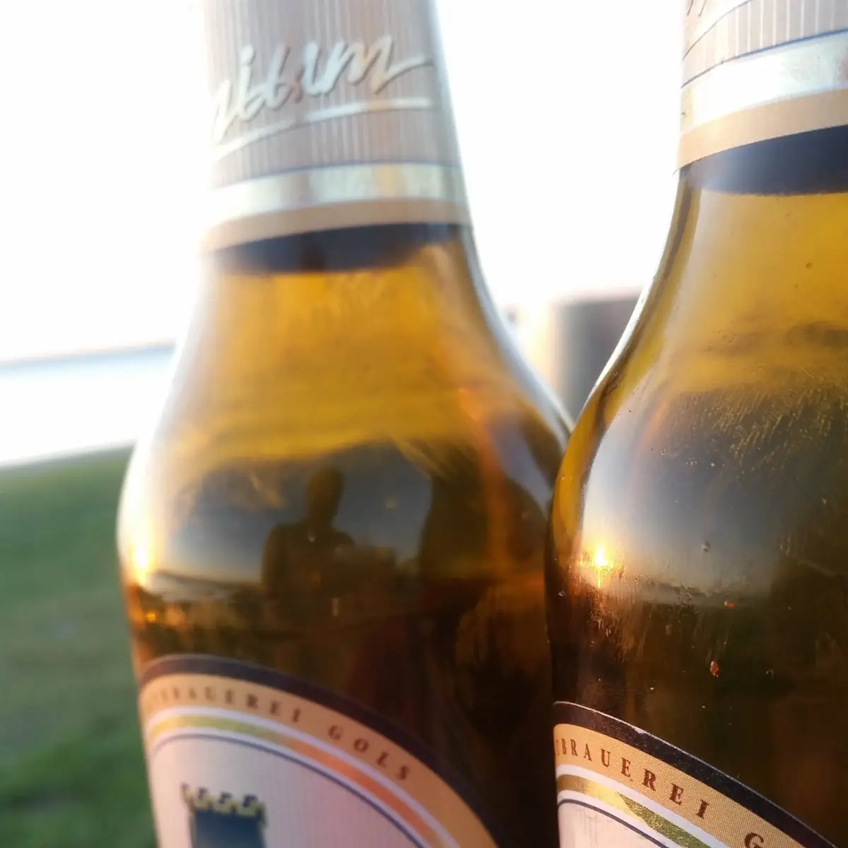 Bier