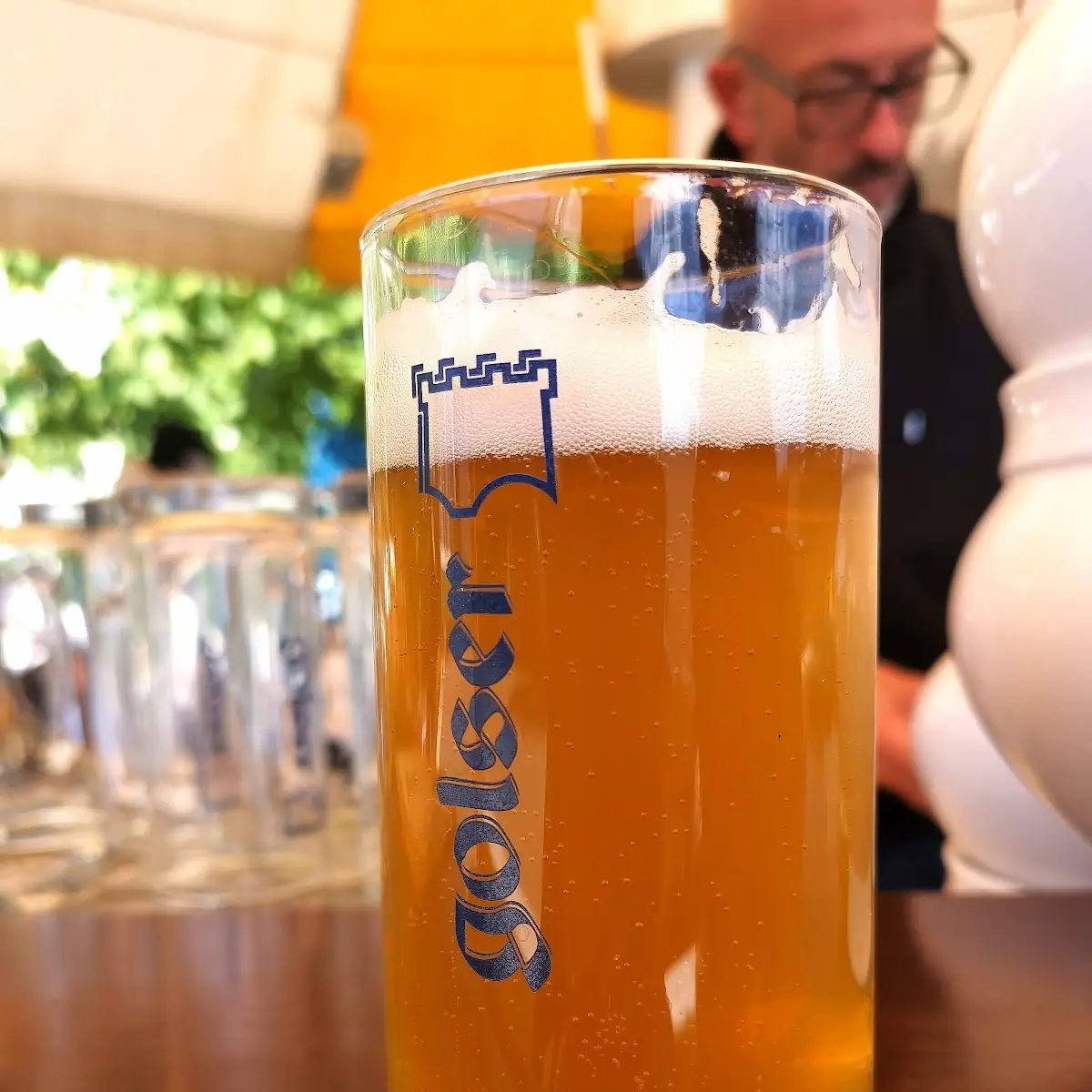 Golser Bio Zwickl