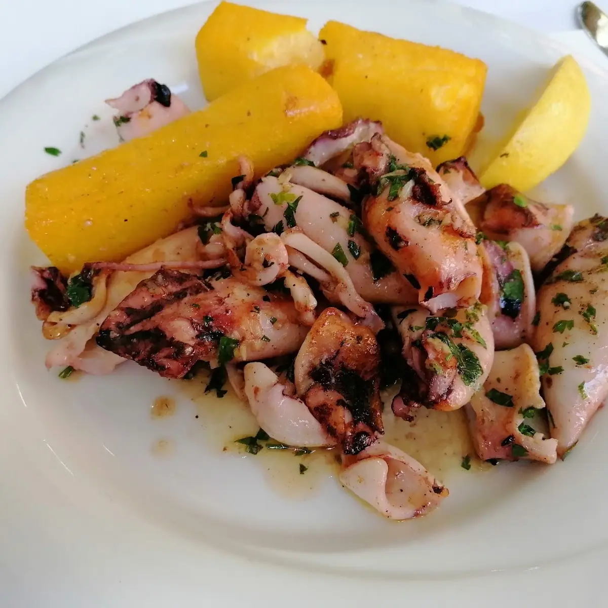 Calamari Dalla Griglia