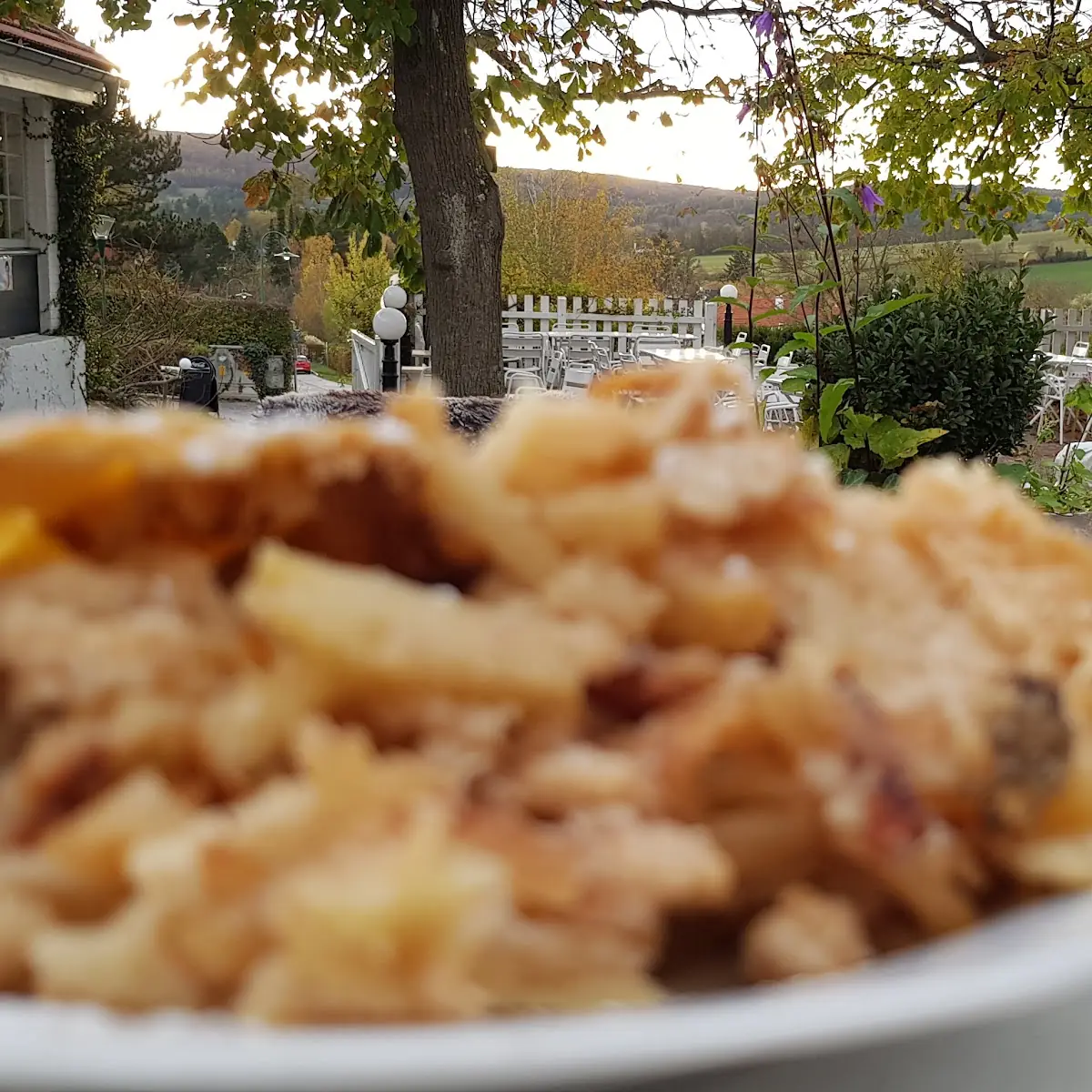 Orig Wieneromas Apfelstrudel