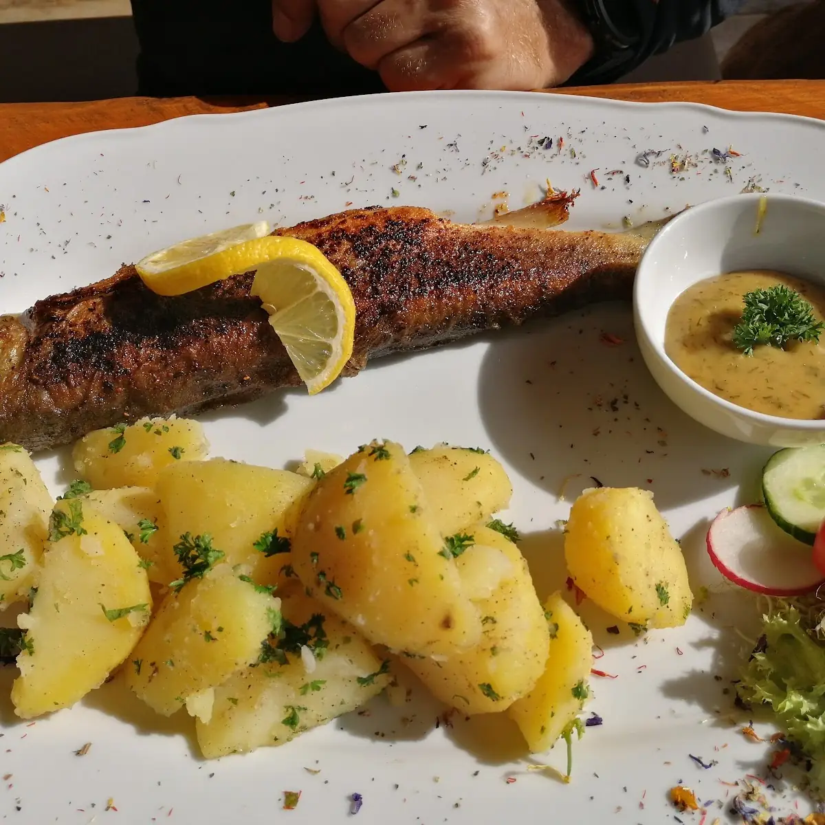 Gegrillte Forelle Mit Kartoffelsalat