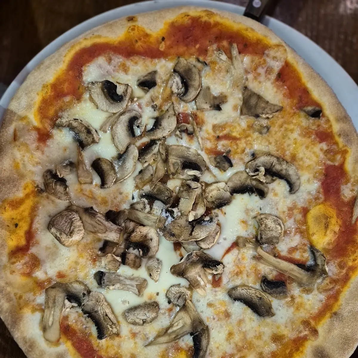 Pizza Funghi