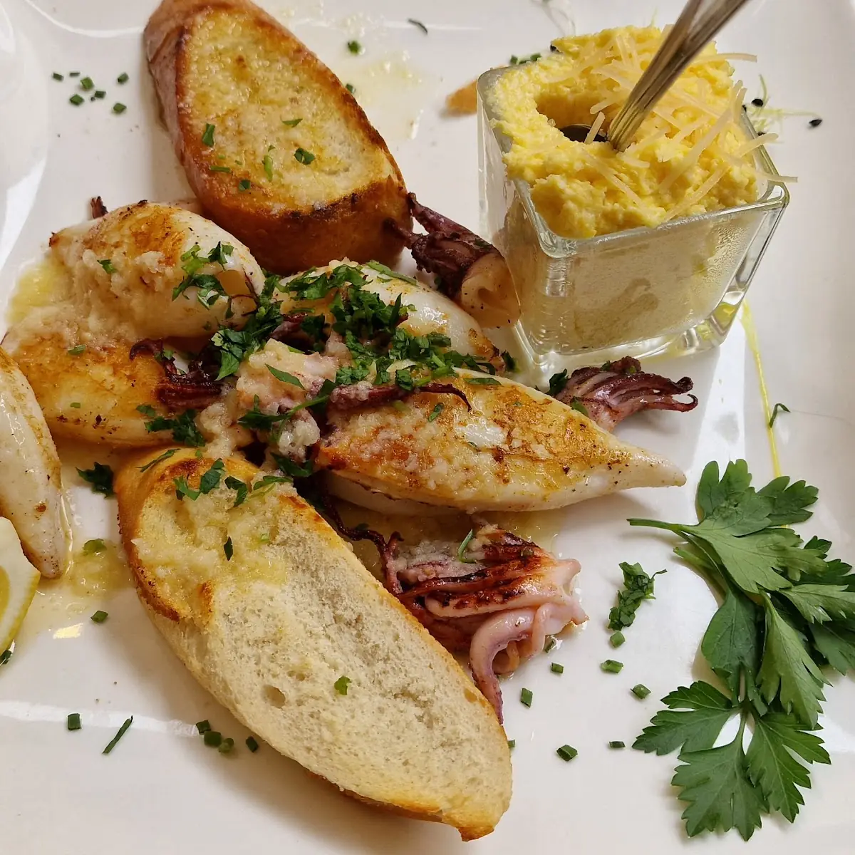 Calamari Gegrillt