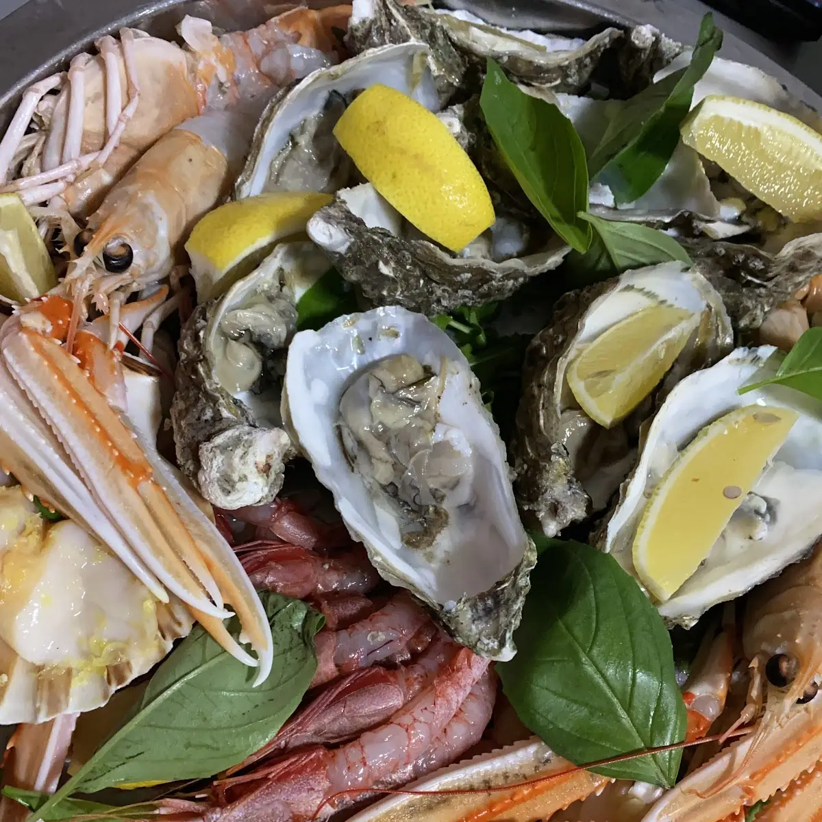 Crudo Di Mare