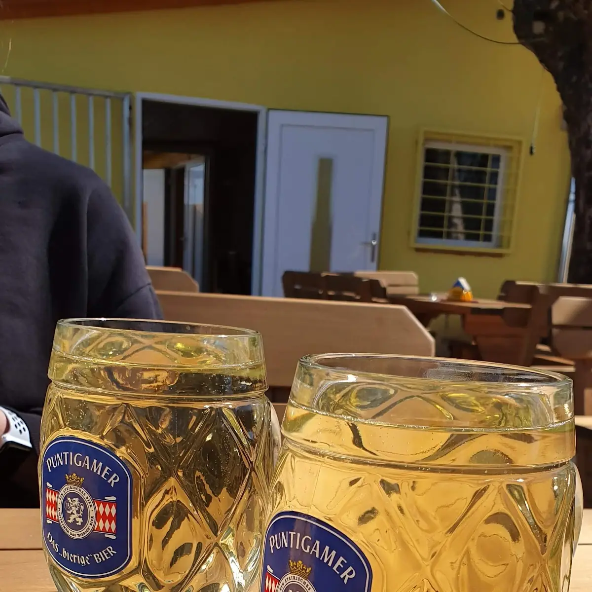 Gespritzter Most